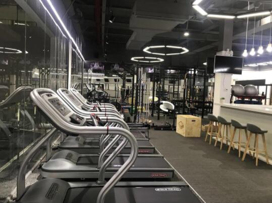 格斗健身房豆奶视频最新在线观看免费效果图